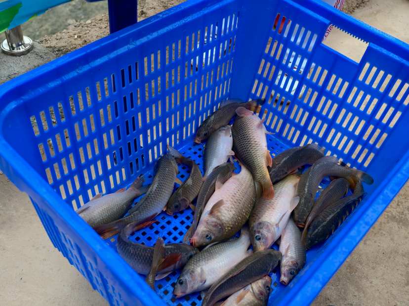 定水面